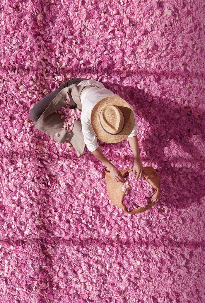 Maison Bisou Journal