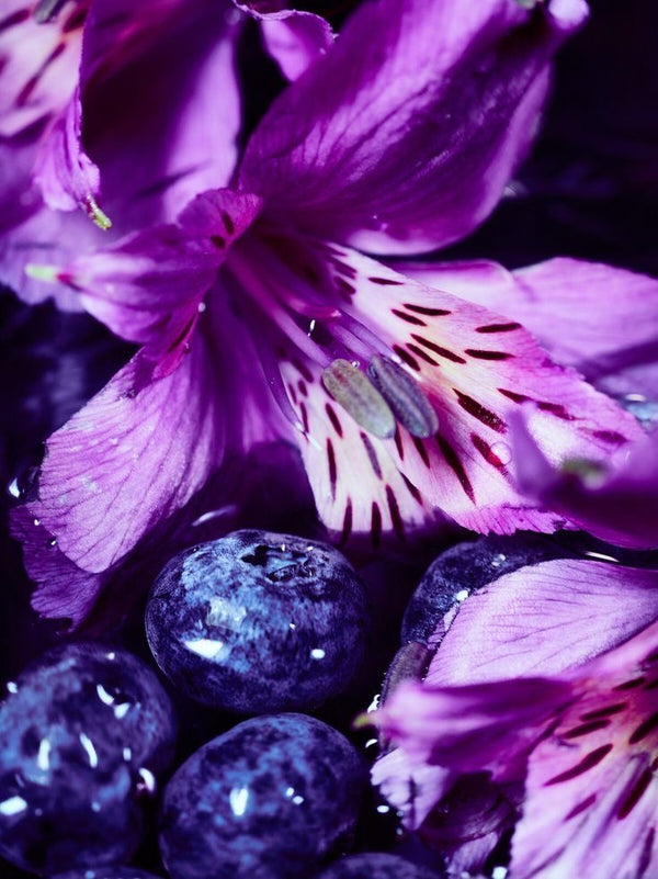 Extrait de Parfum PASSION Maison Bisou — hibiscus, rose, vanille et musc, floral sensuel