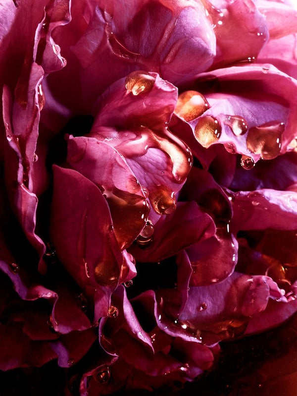 Extrait de Parfum PASSION Maison Bisou — hibiscus, rose, vanille et musc, floral sensuel